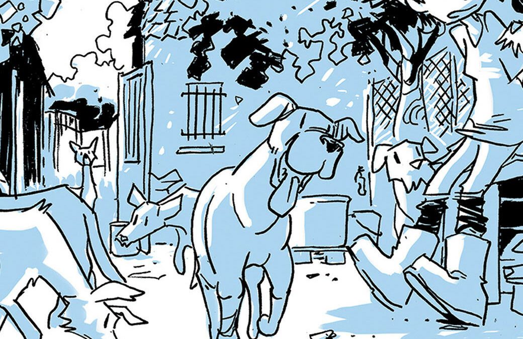Preventa Diario de un refugio.  Jose Fonollosa.